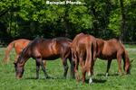 Einfamilienhaus München Altstadt-Lehel - 3.400.000&euro; | Angebot:27146124
