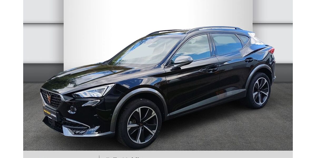 Cupra Formentor 8.800 km 29.490 &euro; Zella-Mehlis 98544