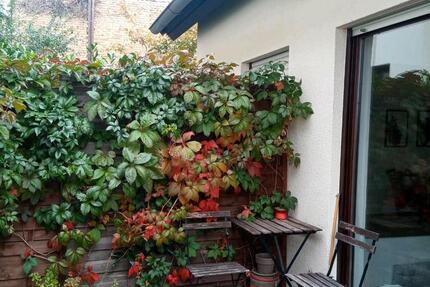 Wohnung Wiesbaden Bierstadt - 2 Zimmer, 70 m&sup2;, 297.500&euro; | Angebot:26671045