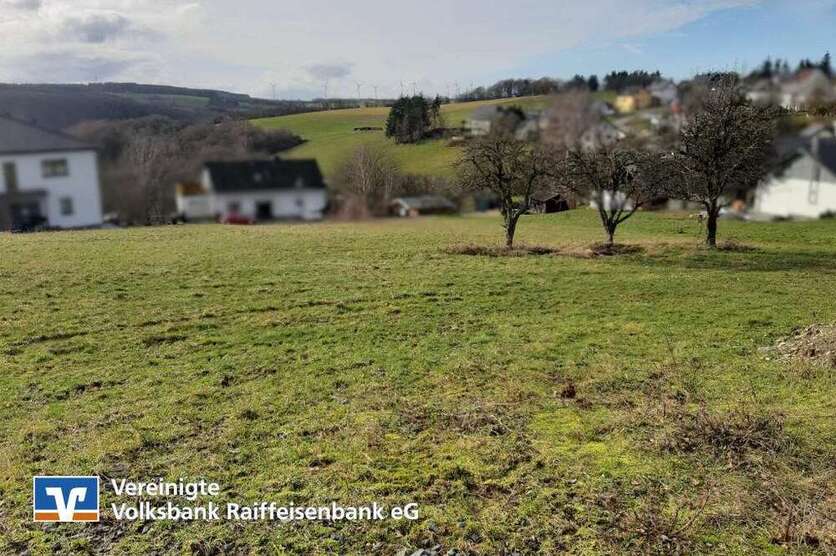 Grundstück zu verkaufen in Schönberg 45.363,50 € 910 m²