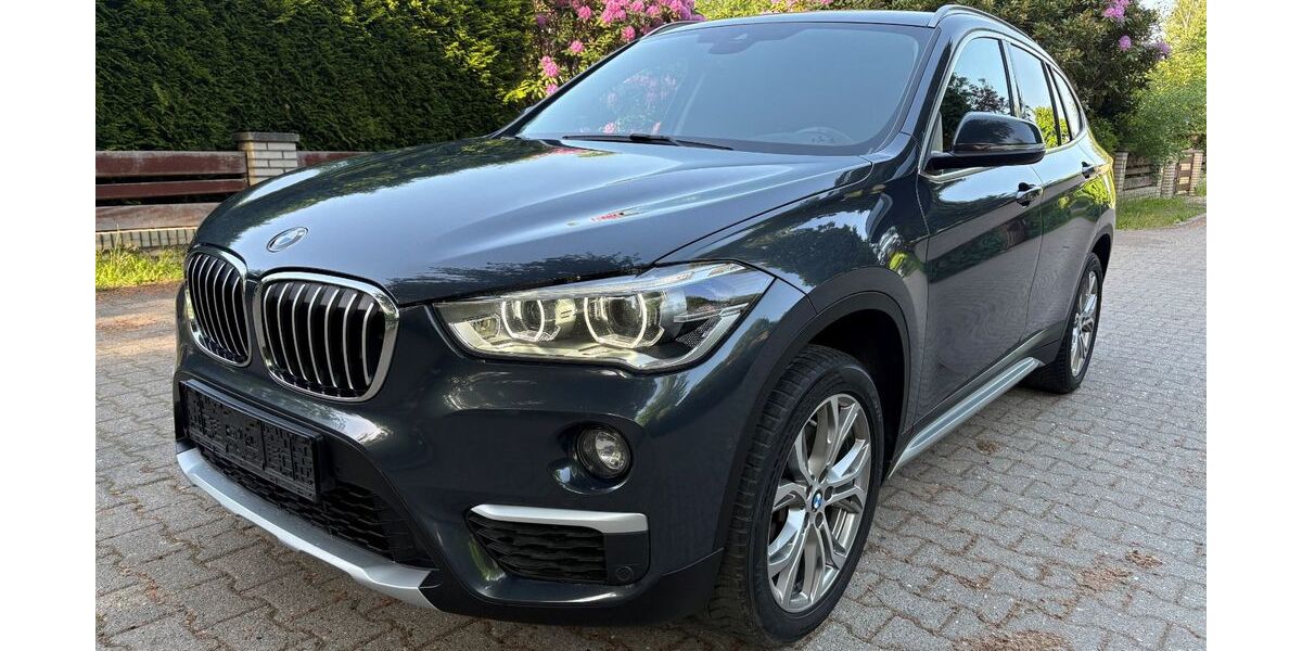 BMW X1 137.500 km 16.500 &euro; Aumühle 21521