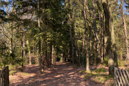 Grundstück Rade Rade - 245.000&euro; | Angebot:25086920