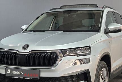 Skoda Karoq 109.421 km 17.449 &euro; Braunschweig 38112