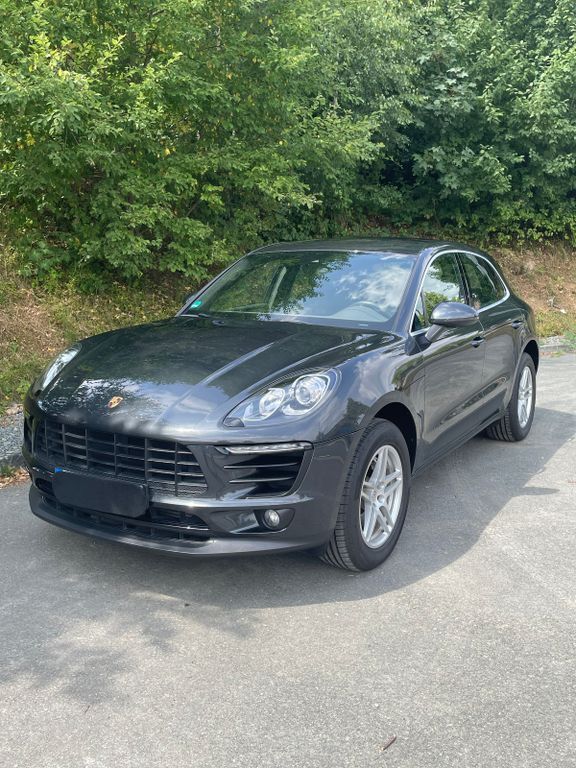 Macan