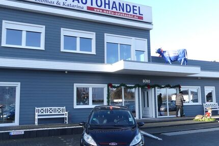 Ford Fiesta 170.000 km 4.900 &euro; Magdeburg 39108