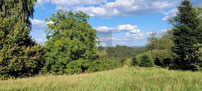 EXKLUSIVER PLATZ IN ATTRAKTIVEM WOHNORT - Grundstück Schwäbisch Gmünd Herlikofen | Angebot:25971001