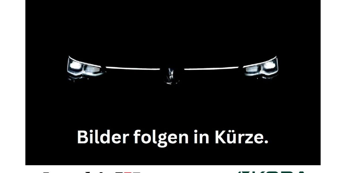 Skoda Fabia 5.000 km 20.900 &euro; Warburg 34414