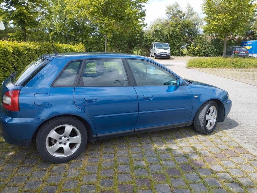 A3