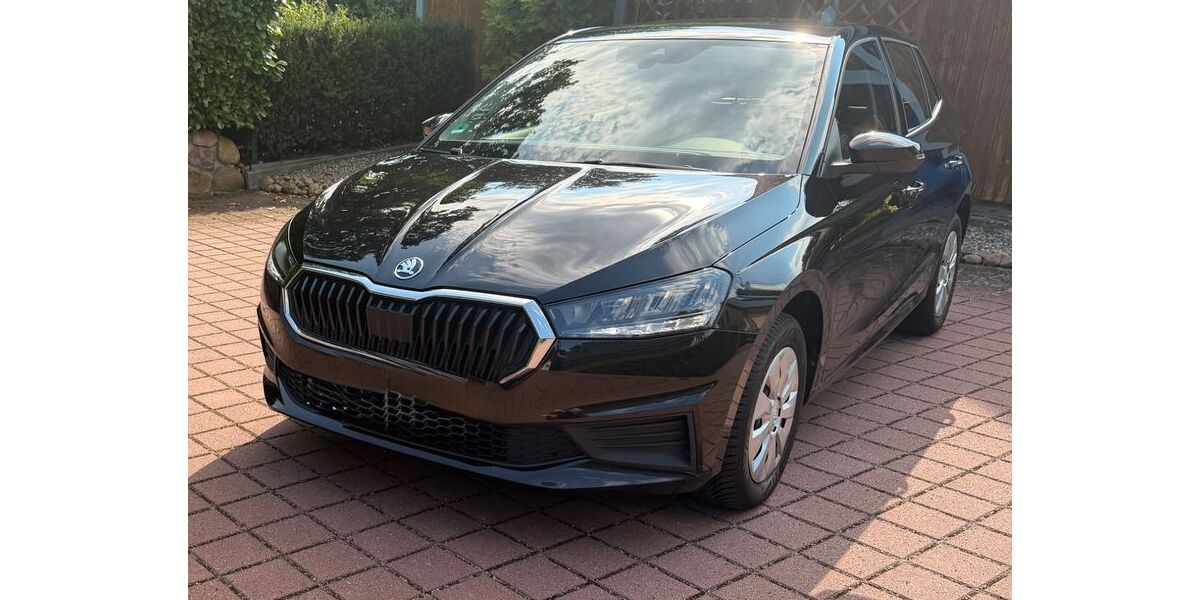 Skoda Fabia 49.000 km 10.800 &euro; Norderstedt 22844