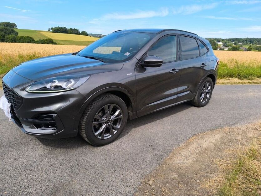 Kuga