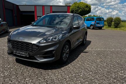 Ford Kuga 25.000 km 21.700 &euro; Lage OT Heiden 32791