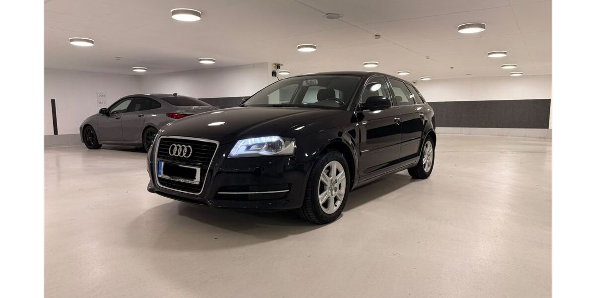 Audi A3 220.000 km 4.200 € Ulm 89073