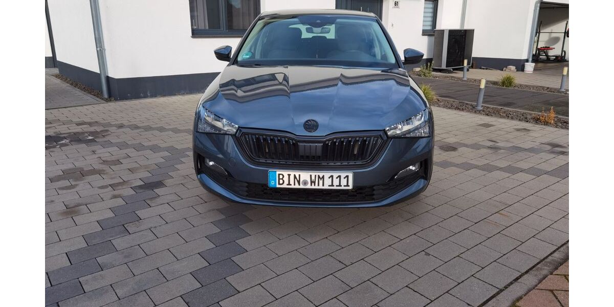 Skoda Scala 132.254 km 12.500 &euro; Gensingen 55457
