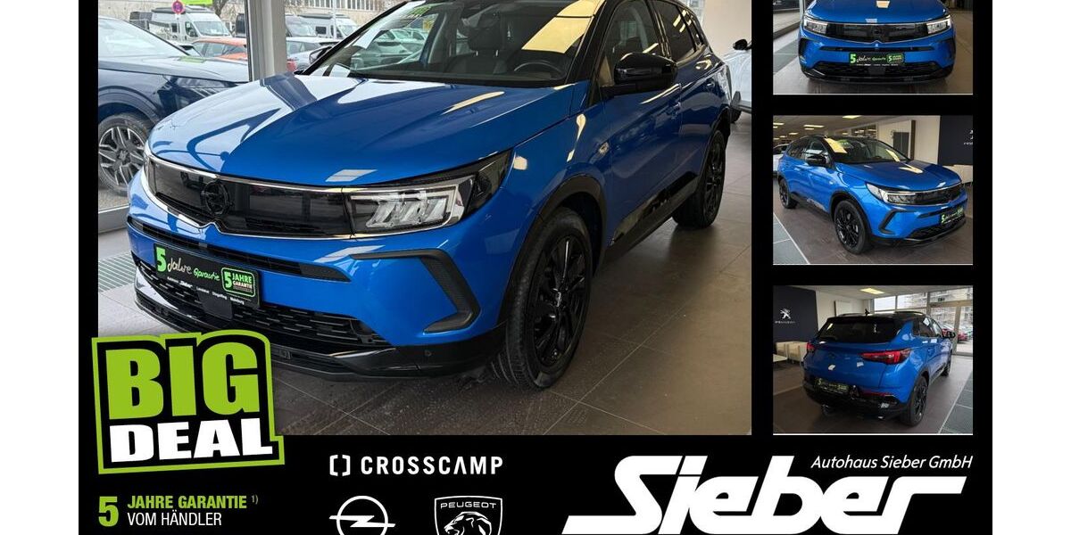 Opel Grandland (X) 30.714 km 18.990 &euro; Landshut 84034