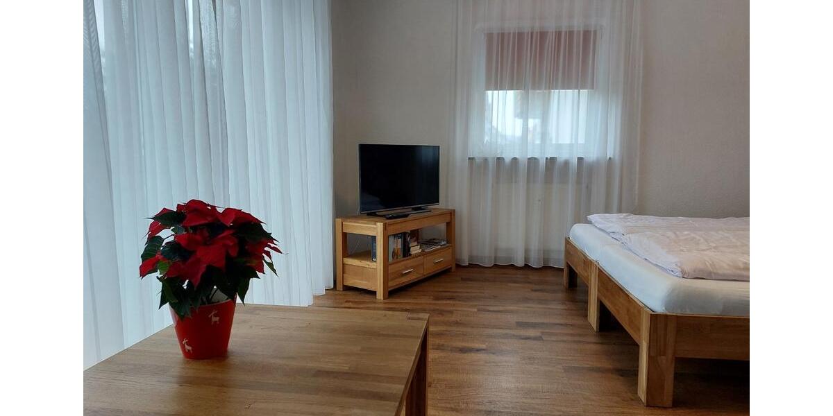 1-Zimmer-Wohnung 40m² möbliert, Balkon, zentrale Lage 1 zimmer
