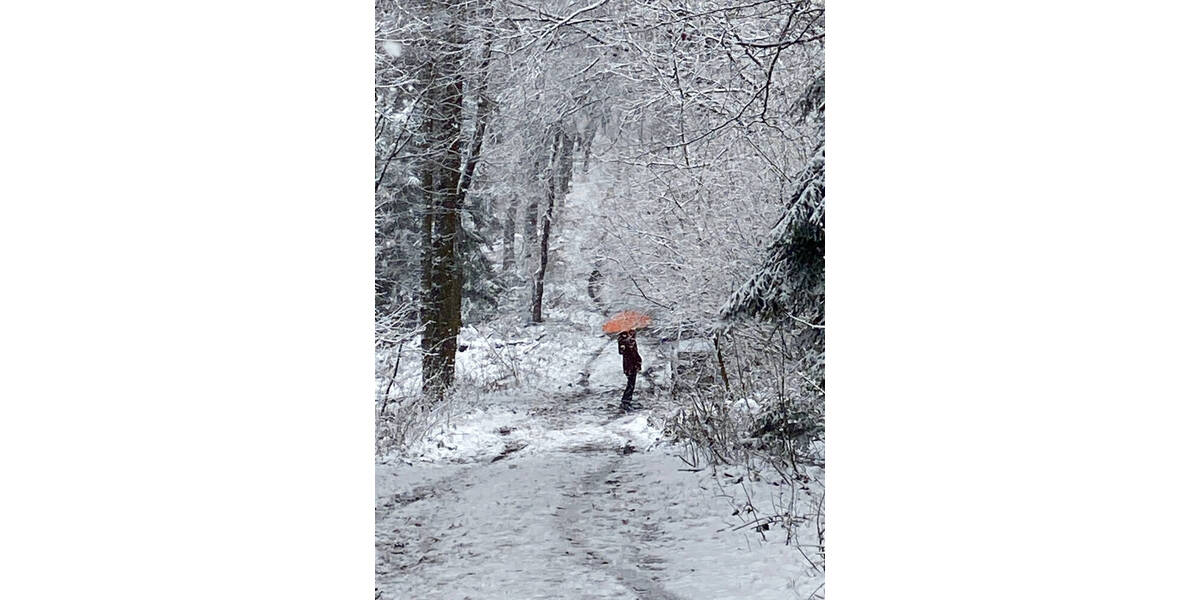 Grundstück Messenkamp - 285.000&euro; | Angebot:25746313