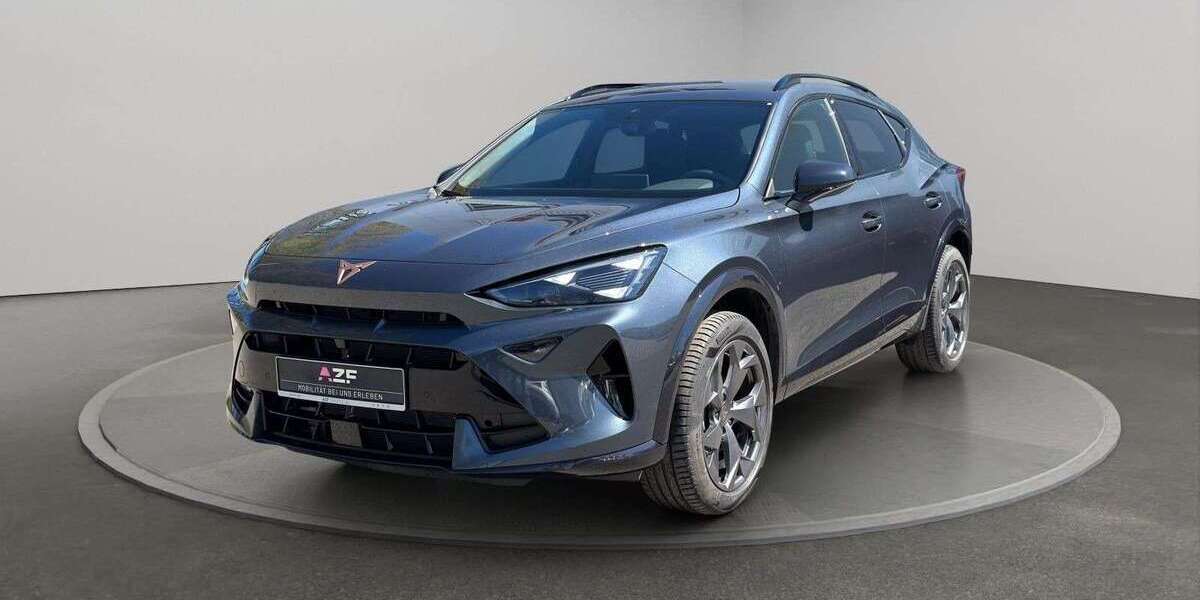 Cupra Formentor 16.919 km 29.890 &euro; Flensburg 24941