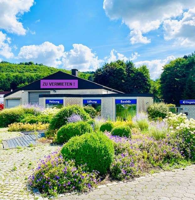 Büro in Bad Driburg 1.500 € 300 m²