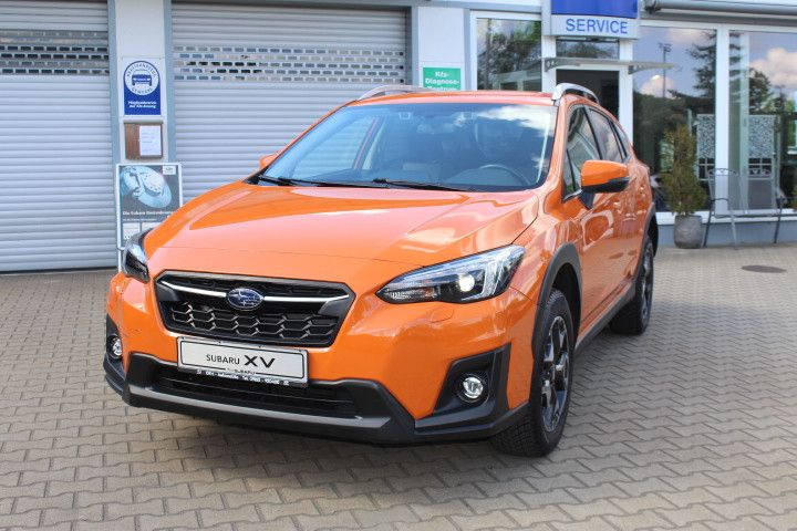 XV