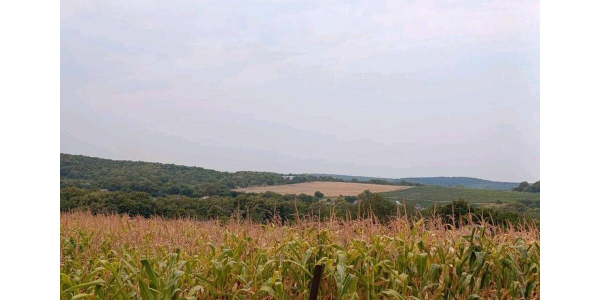 Einfamilienhaus Donauwörth - 78.000&euro; | Angebot:26314574