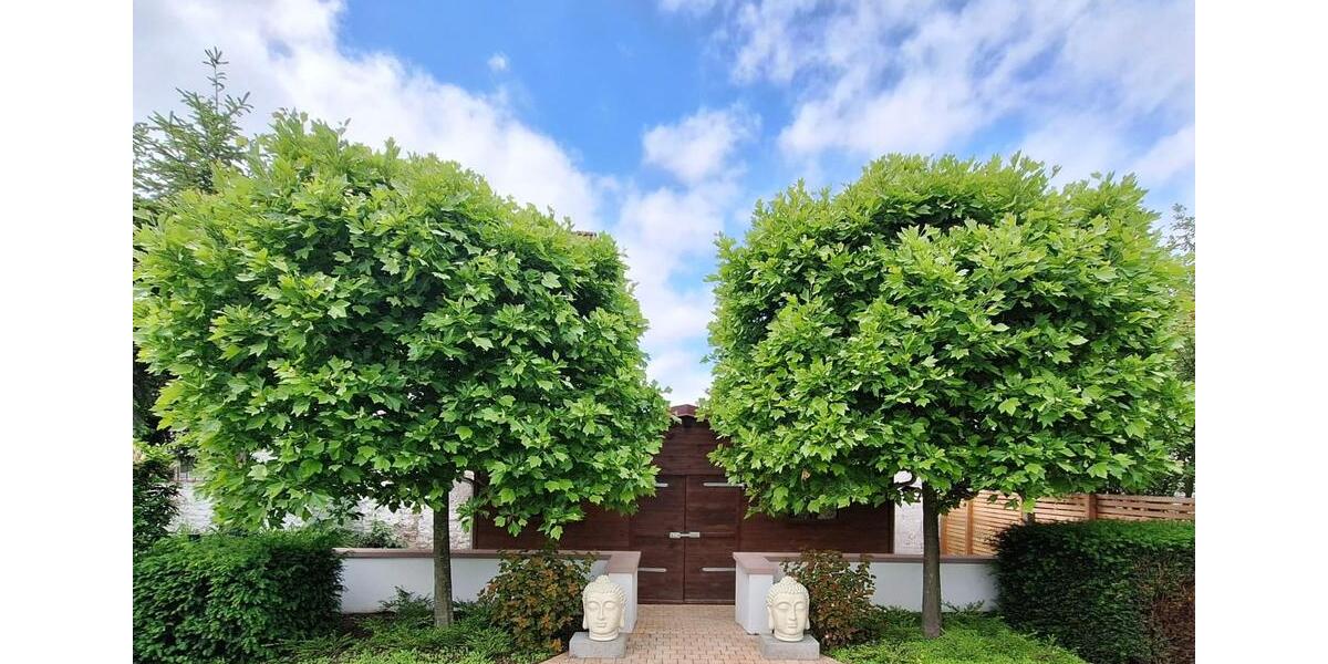 Einfamilienhaus Nauheim - 4 Zimmer, 100 m&sup2;, 365.000&euro; | Angebot:26588388