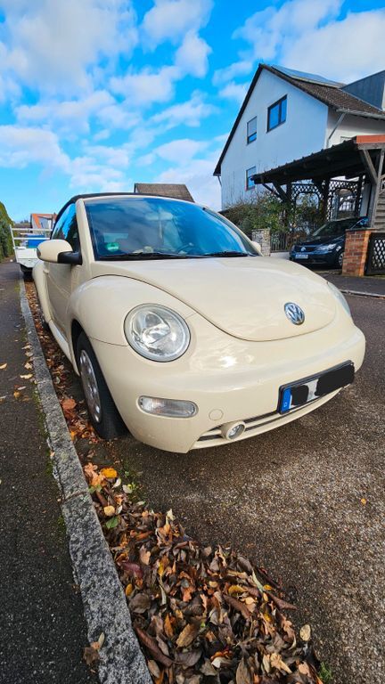 Beetle
