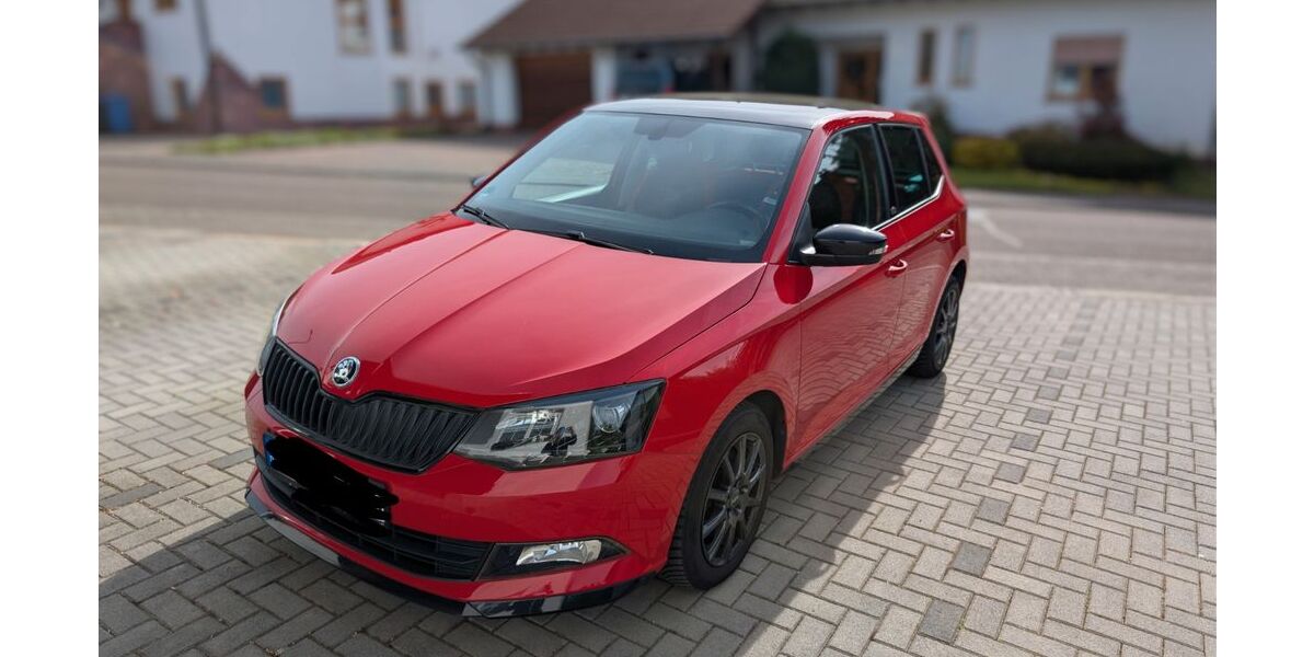 Skoda Fabia 96.500 km 9.199 &euro; Rieschweiler-Mühlbach 66509