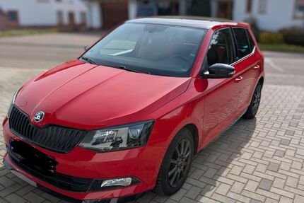 Skoda Fabia 96.550 km 8.895 &euro; Rieschweiler-Mühlbach 66509