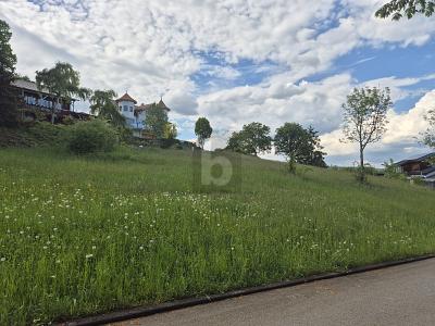 UNVERBAUBARES NATURPARADIES MIT PREMIUMAUSSICHT - Grundstück Tengen | Angebot:26681950