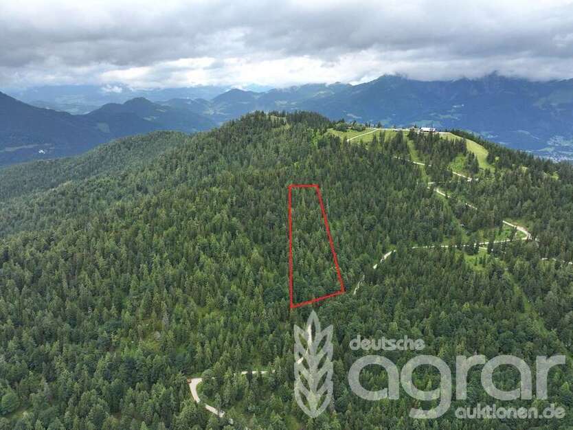 Grundstück in Ramsau 46.900 € 17680 m²