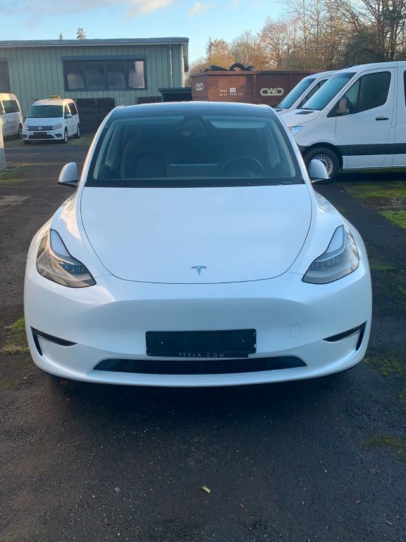 Model Y