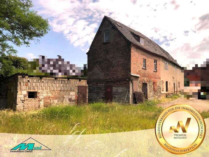 Haus zum Kaufen in Bad Dürrenberg Tollwitz 198.000 € 200 m²