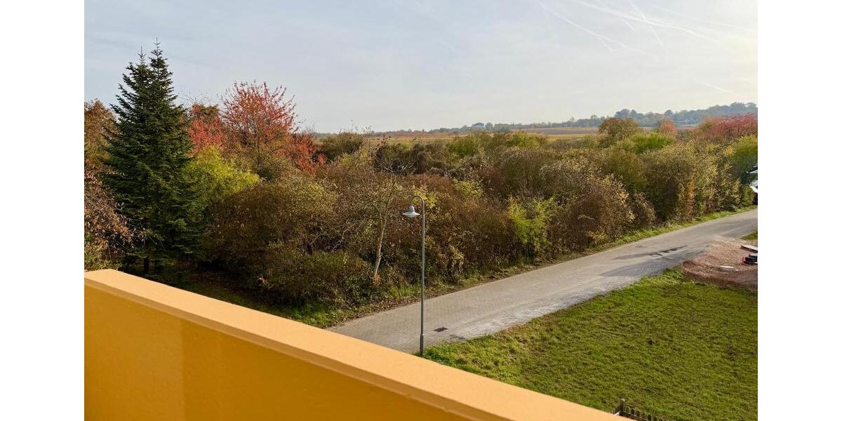 Dachgeschoßwohnung Ingelheim am Rhein - 4 Zimmer, 108 m&sup2;, 1.400&euro; | Angebot:25451377