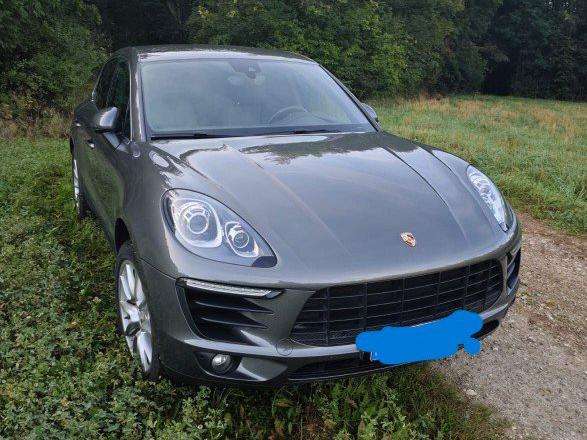 Macan