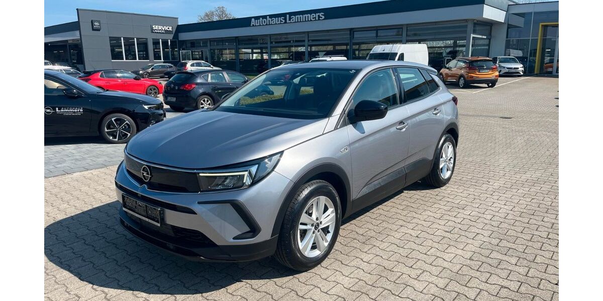Opel Grandland (X) 116.430 km 13.990 &euro; Wietmarschen / Lohne 49835
