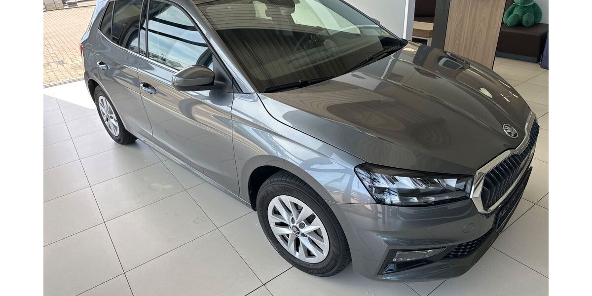 Skoda Fabia 8.287 km 21.300 &euro; Kritzow 23970