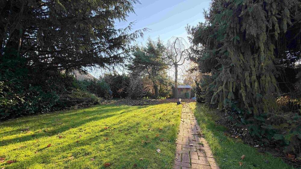 Einfamilienhaus Tornesch - 4 Zimmer, 180 m&sup2;, 489.000&euro; | Angebot:25779293