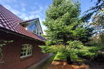 Einfamilienhaus Wesselburen - 6 Zimmer, 264 m&sup2;, 595.000&euro; | Angebot:26290459