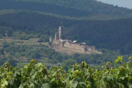 Grundstück Deidesheim - 14.130&euro; | Angebot:22955181