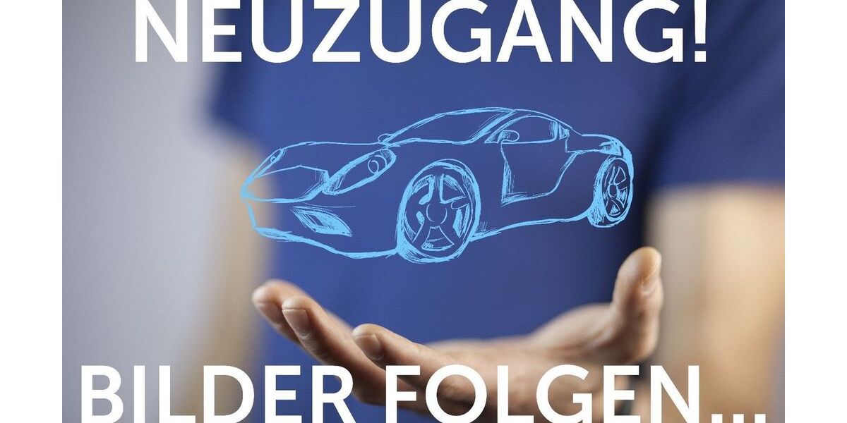 Skoda Fabia 221.000 km 3.300 &euro; Vetschau 03226