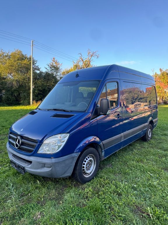 Sprinter