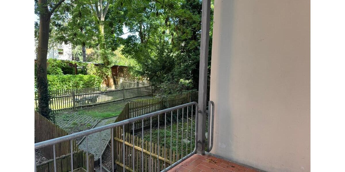 Erdgeschoßwohnung Zwickau Zwickau-Nord - 5 Zimmer, 174 m&sup2;, 900&euro; | Angebot:25989843