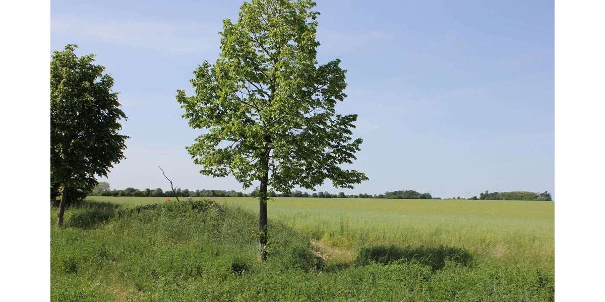 Grundstück zu verkaufen in Zinnowitz 149.000 € 351 m² zimmer