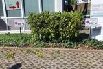 Gewerbeobjekt Nienburg (Weser) - 950&euro; | Angebot:26719580