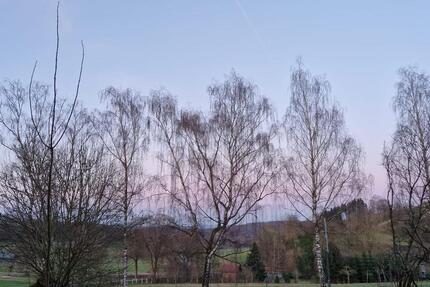 Wohnung Lügde - 1 Zimmer, 34 m&sup2;, 280&euro; | Angebot:25407503