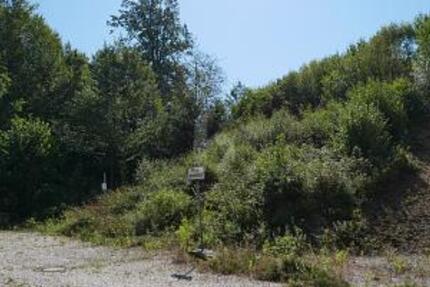 RUHE PUR! NATURPARADIES AM ORTSRAND - Grundstück Regenstauf | Angebot:24992093