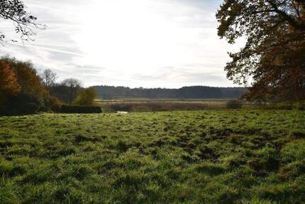 Parkartiges Baugrundstück in 2. Reihe mit unverbaubarem Blick über die Billewiesen zimmer