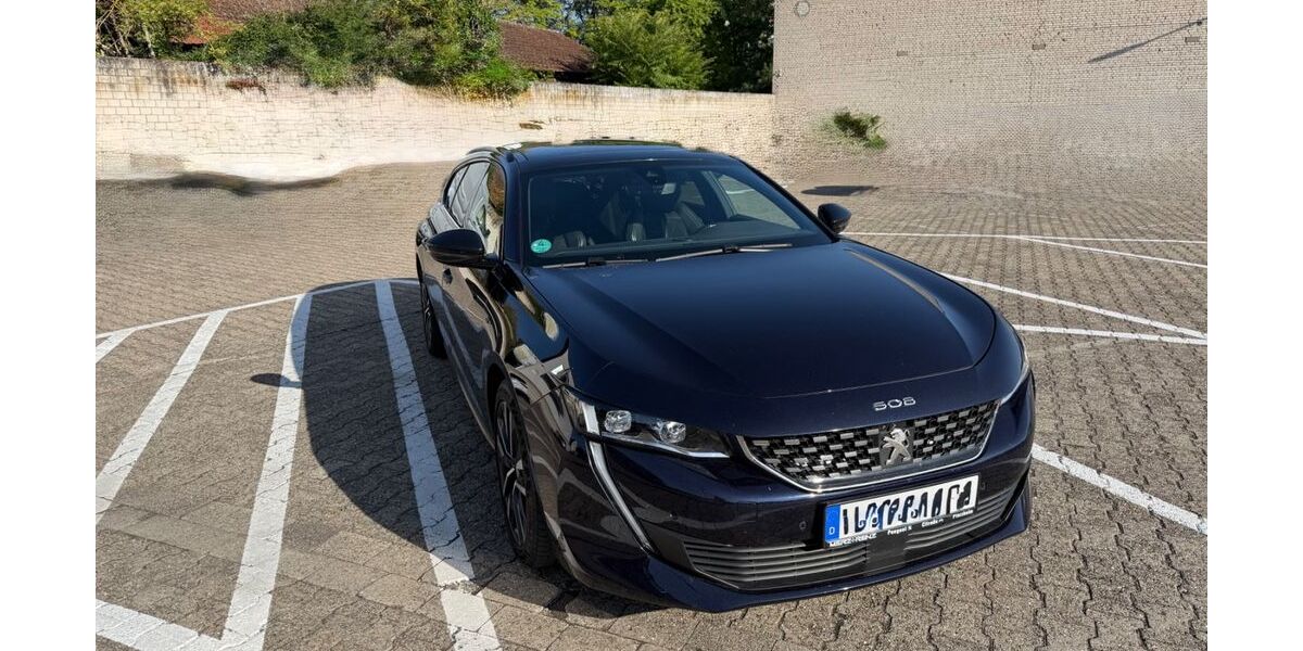 Peugeot 508 120.600 km 14.500 &euro; Worms 67547