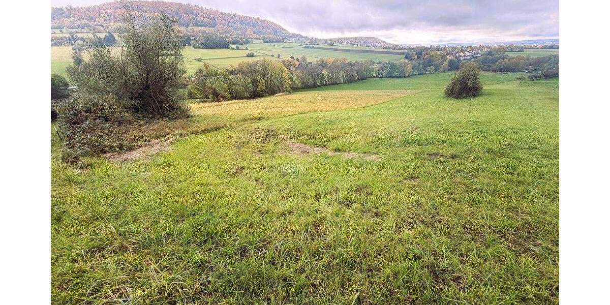 Grundstück Weißenburg Oberhochstatt Weißenburg - 5.280&euro; | Angebot:23479416