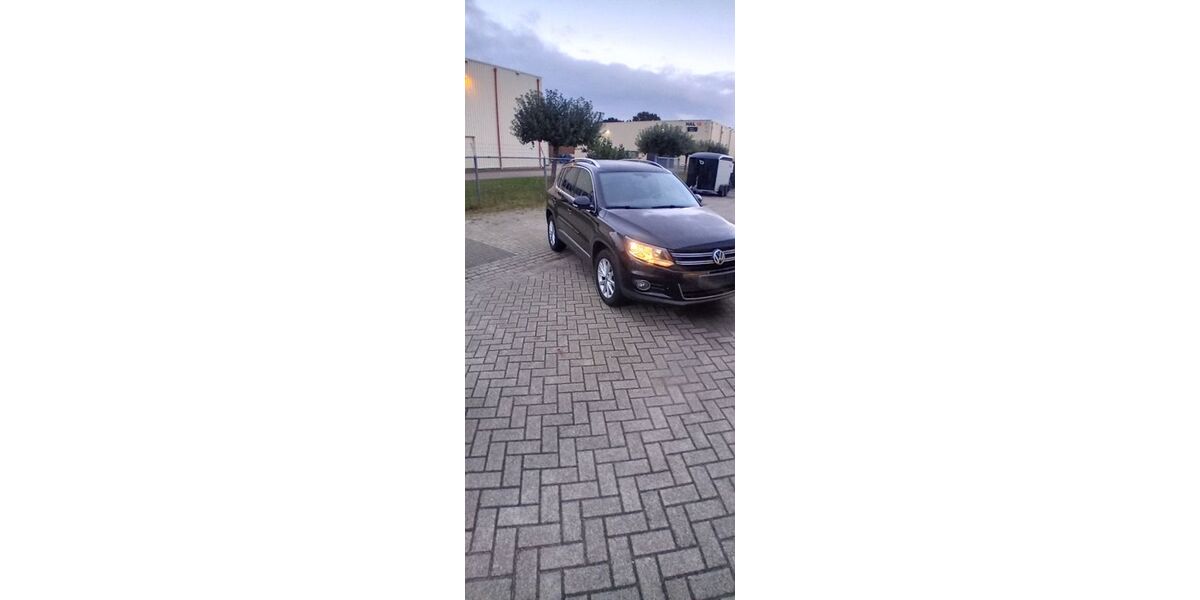 VW Tiguan 304.880 km 4.700 &euro; bad bentheim 48455